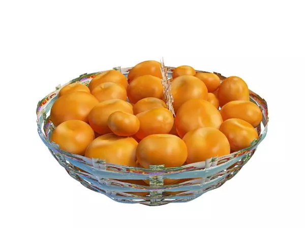 Lantern Basket 3d model