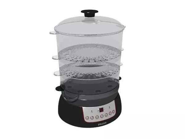Electronic Philips Steamer 3d model Electronic Philips Steamer 3d model