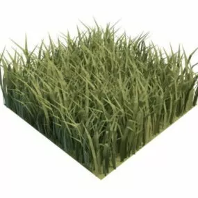 Piece Of Garden Green Grass 3d model
