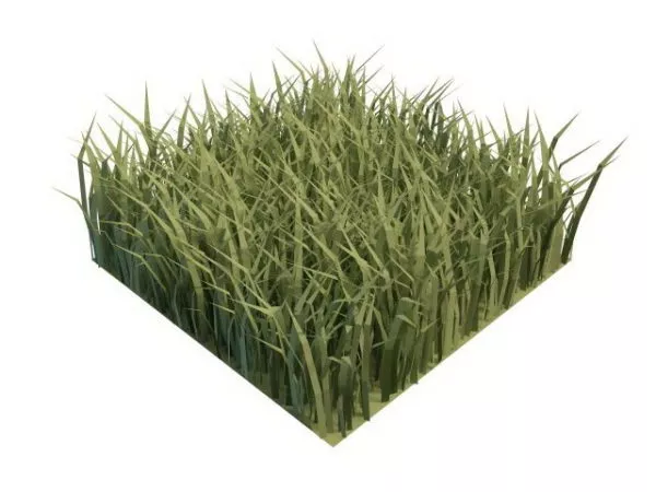 Piece Of Garden Green Grass 3d model Piece Of Garden Green Grass 3d model