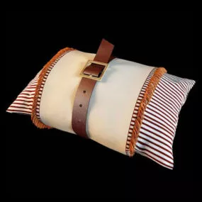 Design Pillow With Leather Belt 3d model