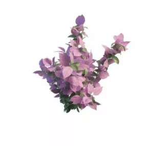 Garden Pink Leaf Bush 3d model