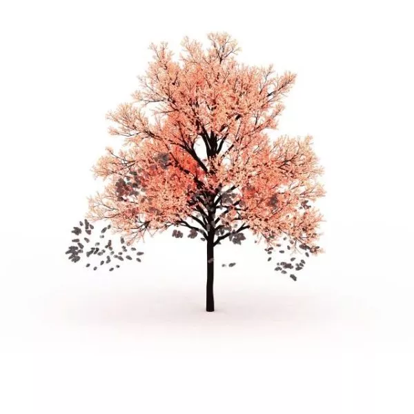 Landscape Pink Tree 3d model Landscape Pink Tree 3d model