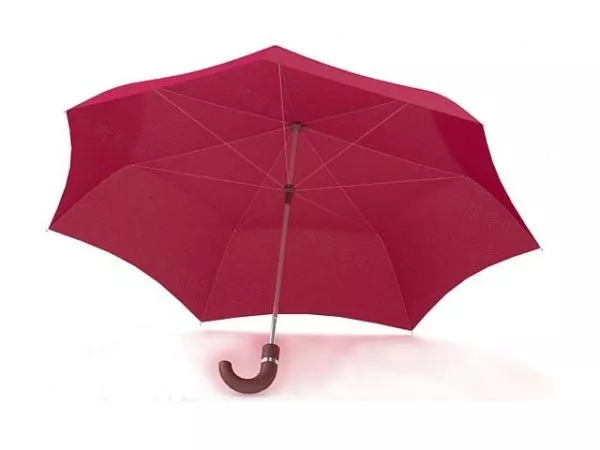 Open Umbrella 3d model