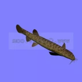 Animal Pond Loach 3d model