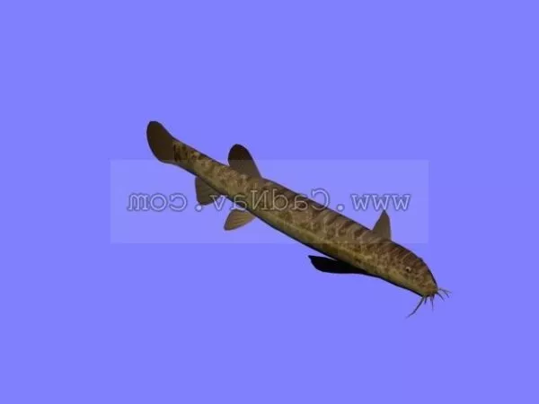 Pike Fish 3d model