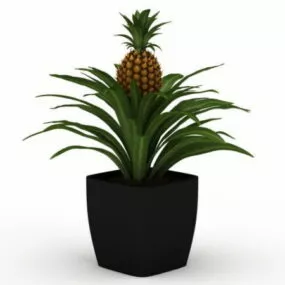 Potted Pineapple Indoor Plant 3d model