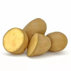 Food Potato Cross Section 3d model