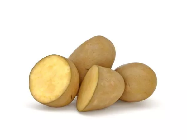 Potatoes Stack 3d model