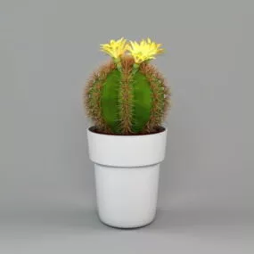 Office Potted Cactus Plant 3d model