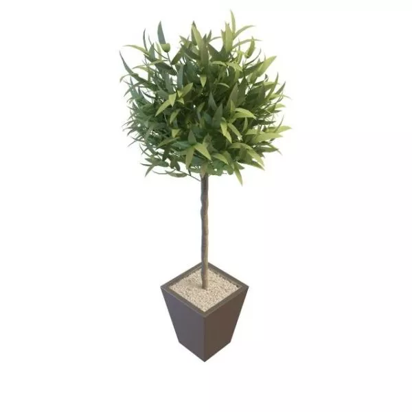 Office Potted Artificial Trees Plant 3d model Office Potted Artificial Trees Plant 3d model