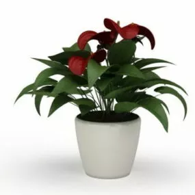 Indoor Garden Potted Flamingo Flower 3d model