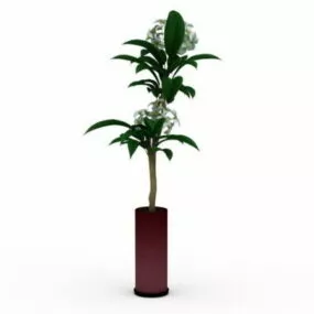 Indoor Potted Flowering Plant 3d model