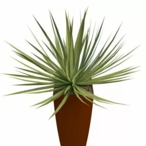 Indoor Potted Grass Plants 3d model