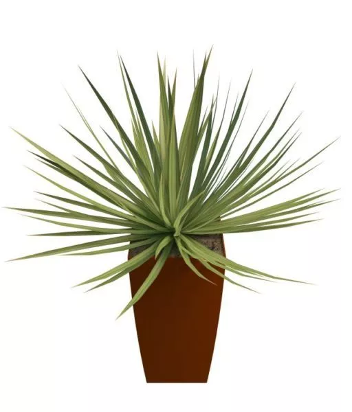 Grass Square Unit 3d model