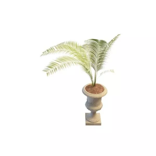 Potted Indoor Palm Tree 3d model Potted Indoor Palm Tree 3d model