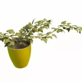 Potted Maple Tree Indoor Plant 3d model