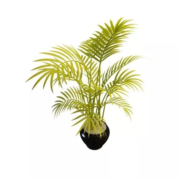 Low Poly Bamboo Plant 3d model