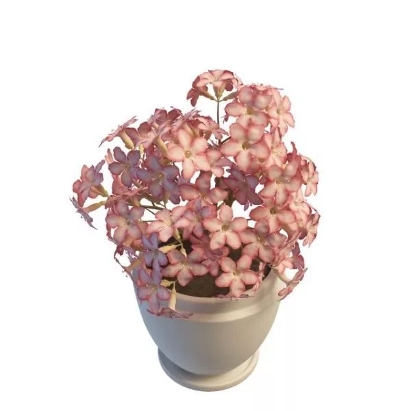 Indoor Decoration Pink Flowers Pot 3d model Indoor Decoration Pink Flowers Pot 3d model