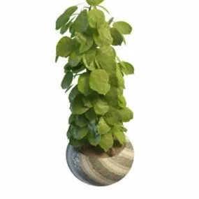 Landscape Potted Plant 3d model