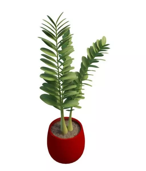Round Leaves Potted Plant 3d model Round Leaves Potted Plant 3d model