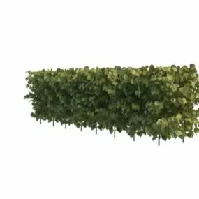 Privacy Hedge Garden 3d model