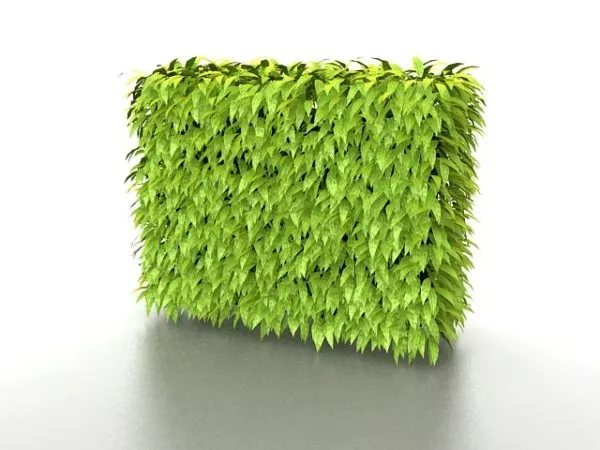 Garden Hedge Set 3d model