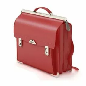 Professional Women Briefcase 3d model