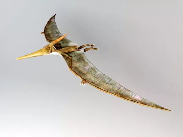 Pteranodon Dinosaur Rig 3d model Pteranodon Dinosaur Rig 3d model