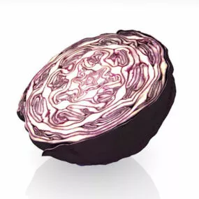 Cross Section Purple Cabbage Vegetable 3d model