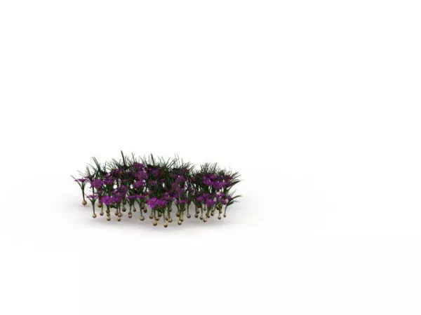 Outdoor Plant Purple Narcissus Flowers 3d model Outdoor Plant Purple Narcissus Flowers 3d model