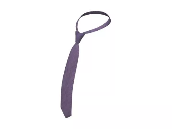 Clothing Hanger Set 3d model