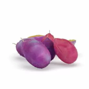 Food Purple Plum Fruit 3d model