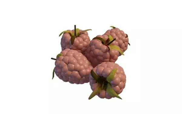 Purple Raspberry Flower 3d model Purple Raspberry Flower 3d model