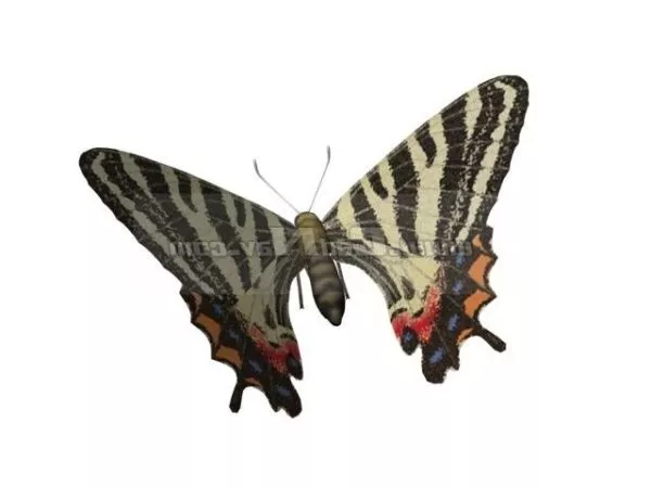 Animal Puziloi Luehdorfia Butterfly 3d model Animal Puziloi Luehdorfia Butterfly 3d model