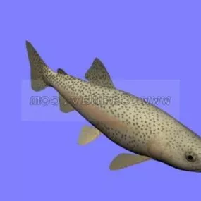 Animal Rainbow Trout 3d model