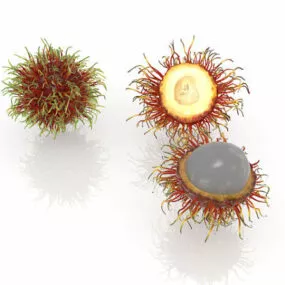 Nature Rambutan Fruit 3d model