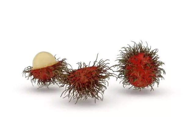 Yellow Apples Fruit On Bowl 3d model