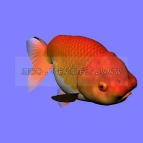 Rantyu Goldfish Animal 3d model