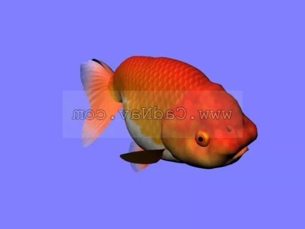 Pike Fish 3d model