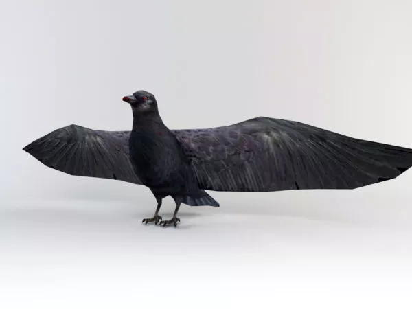 Wild Raven Bird 3d model Wild Raven Bird 3d model