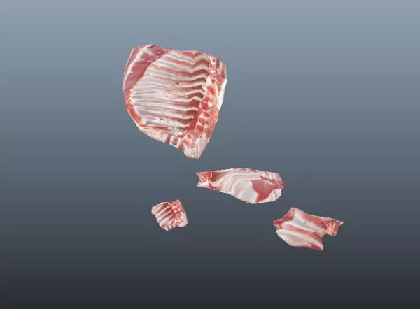 Realistic Raw Pork Spare Ribs 3d model Realistic Raw Pork Spare Ribs 3d model