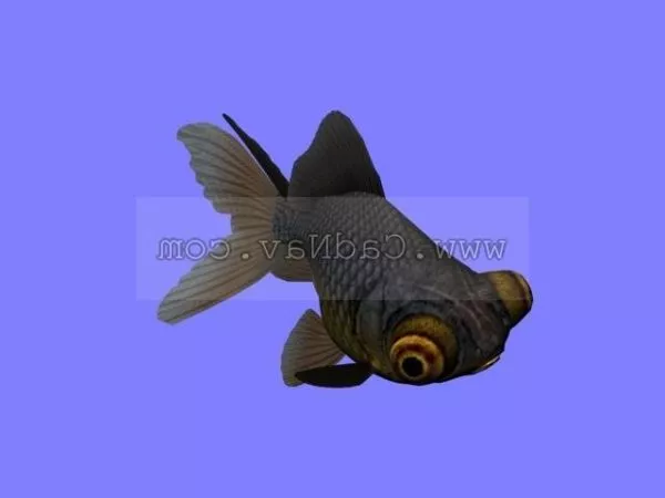 Amago Salmon River Fish 3d model
