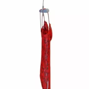 Clothing Red Camisole 3d model