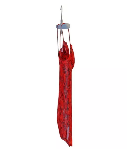 Clothing Red Camisole 3d model Clothing Red Camisole 3d model