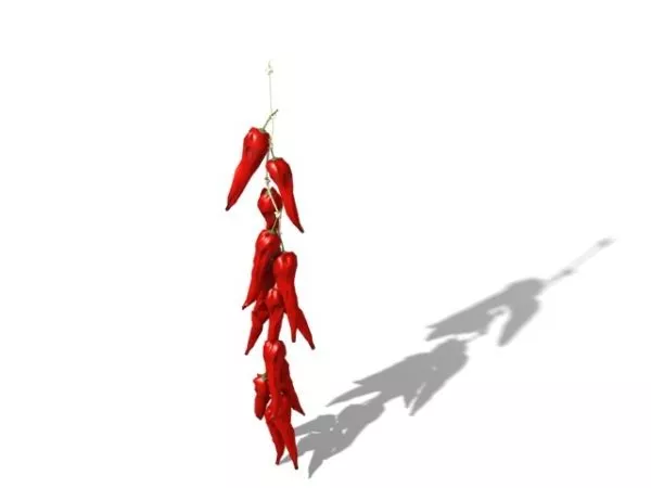 Hanging Red Chili Pepper 3d model Hanging Red Chili Pepper 3d model