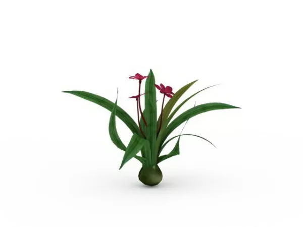 Garden Flower Cymbidium Orchids 3d model Garden Flower Cymbidium Orchids 3d model