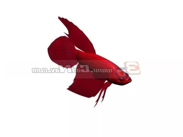 Fangtooth Fish 3d model