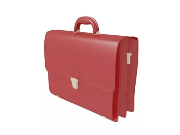 Old Leather Bag 3d model