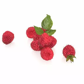 Nature Red Mulberry Fruit 3d model